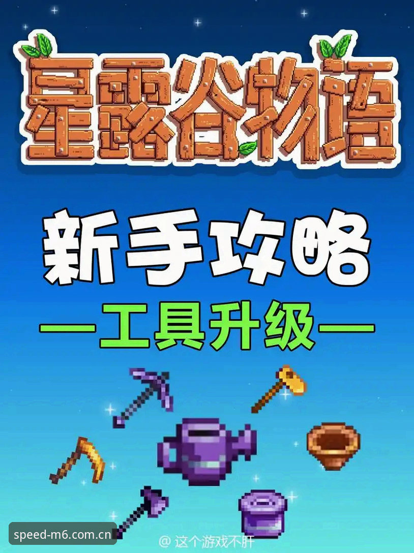M6体育平台官方服务升级最新动态：新手用户快速上手全攻略